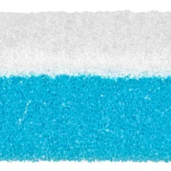 Kökssvampar