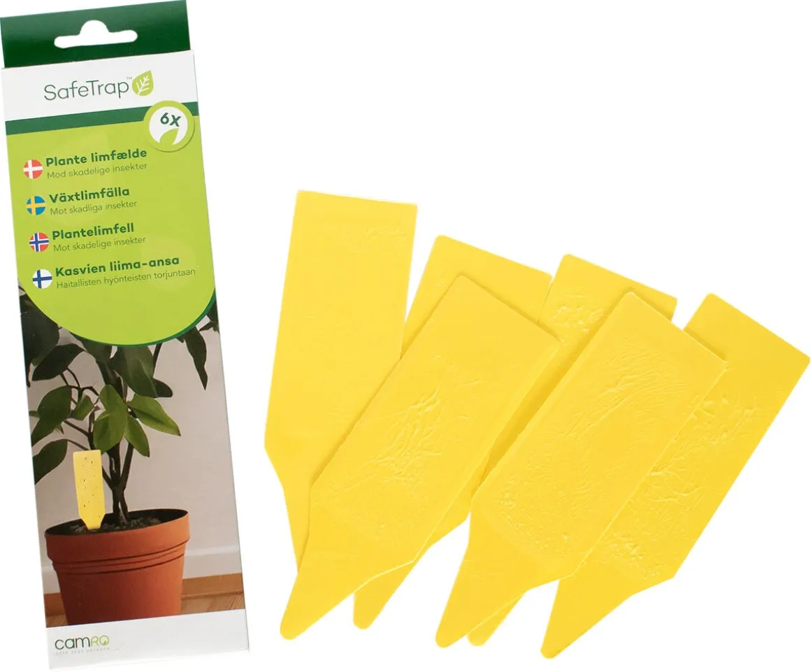 SafeTrap växtlimfälla mot insekter, 6-pack