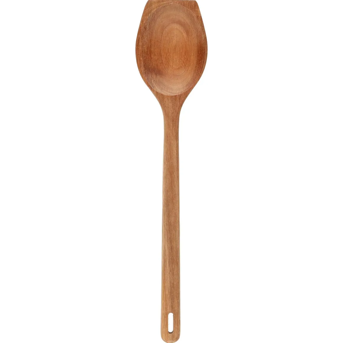 Träslev akacia, 33 cm